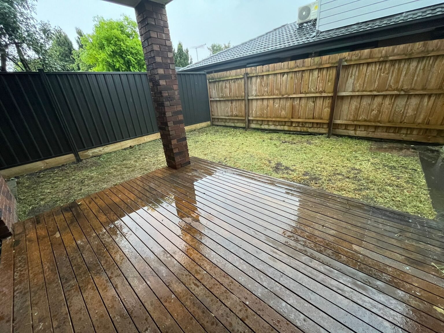 WhatsApp Image 2025-12-10 at 1.48.45 PM (1)