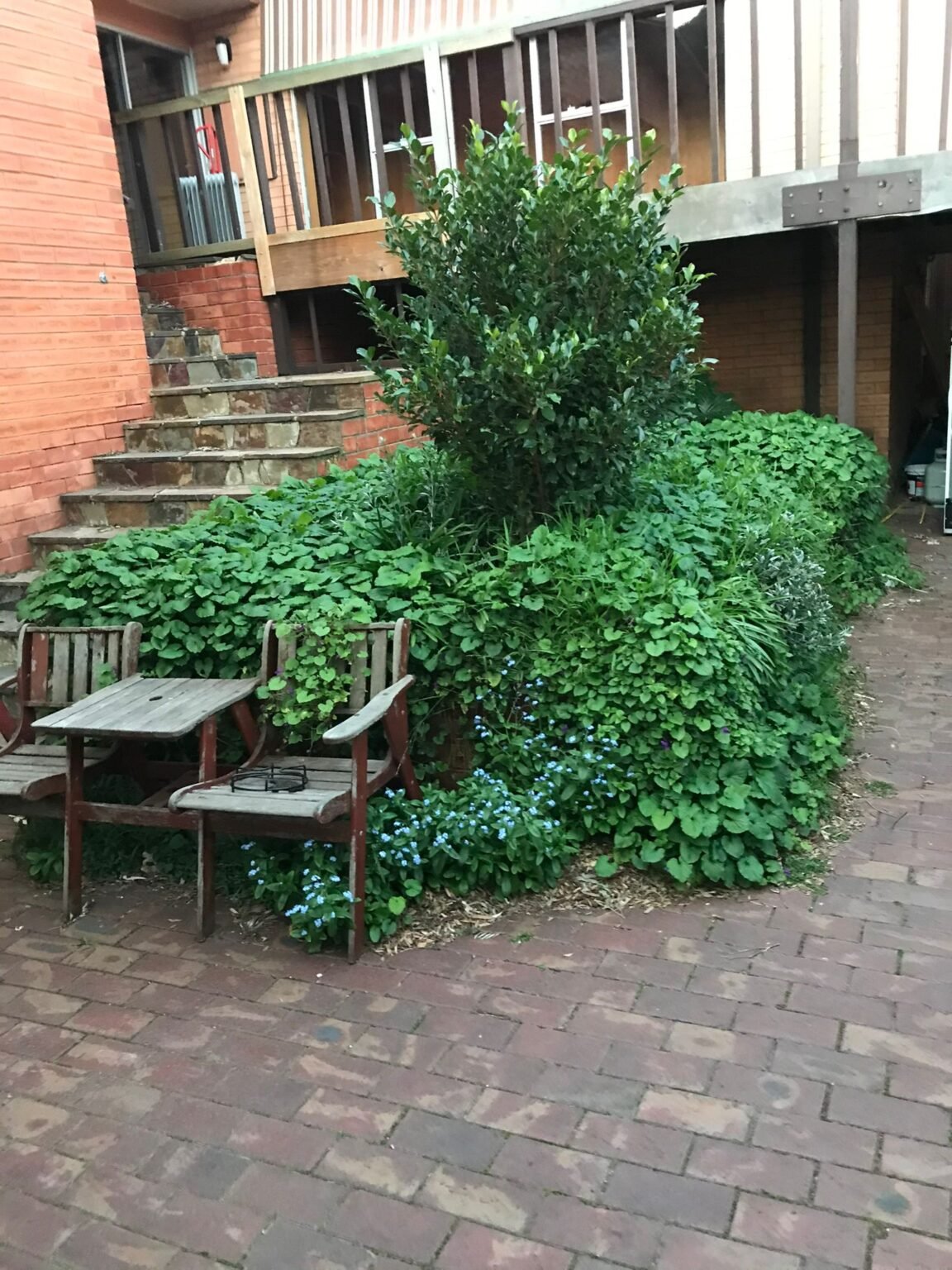 WhatsApp Image 2025-12-10 at 1.48.46 PM