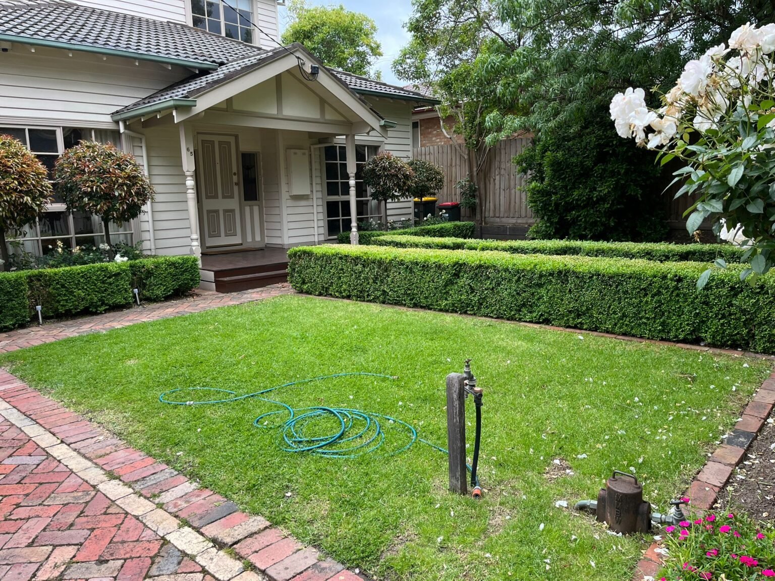 WhatsApp Image 2025-12-10 at 1.48.48 PM