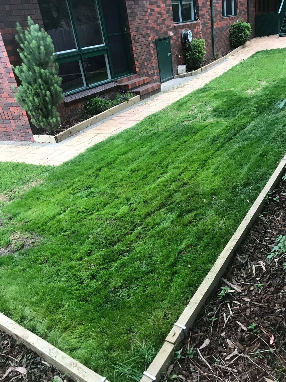 WhatsApp Image 2025-12-10 at 1.48.49 PM (1)