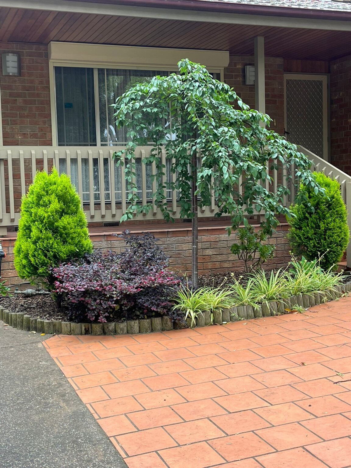 WhatsApp Image 2025-12-10 at 1.48.49 PM